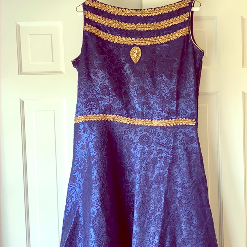 Indo Western Gown